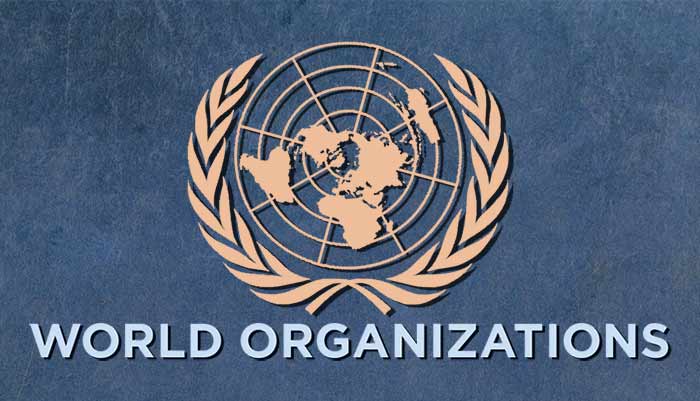 سازمان های جهانی
